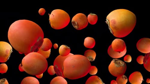 Persimmon With Alpha Channel