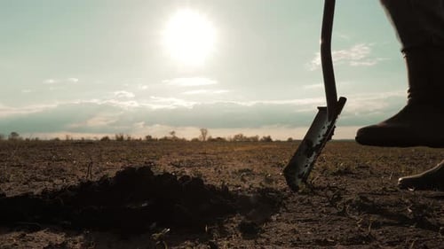 Landwirtschaftliche Konzept