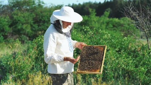 Imker auf Apiary.