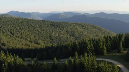Aerial View of Mountain Peaks Covered with Dense Pine Forest