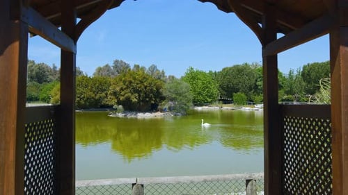 Der grüne natürliche See im Park