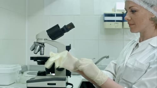 Scientist Using Microscope in Laboratory Environment