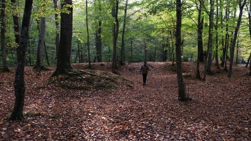 Junger Mann spaziert durch den Schwarzwald