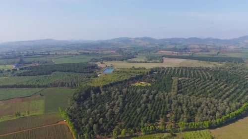 Aerial top view of fresh grass, rice and crops field with green mountain hill in agriculture