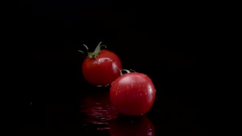 Fresh Red Tomatoes Falling and Splashing on Surface