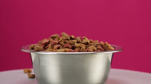 Dried Dog Food in Metal Bowl Closeup Rotating