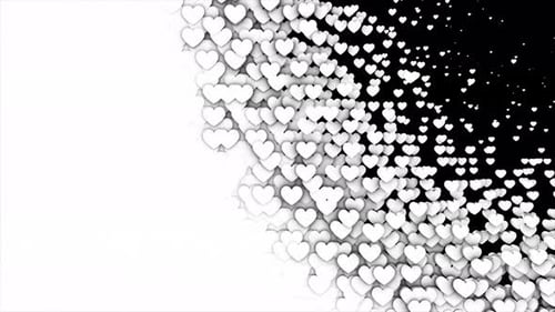 White Hearts Celebration Transitions