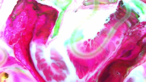 Abstract Paint Texture Background