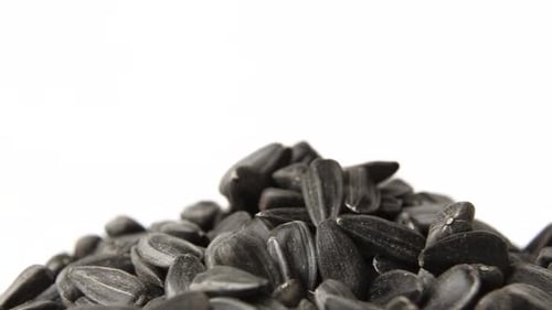 Pile of Black Sunflower Seeds on White Background