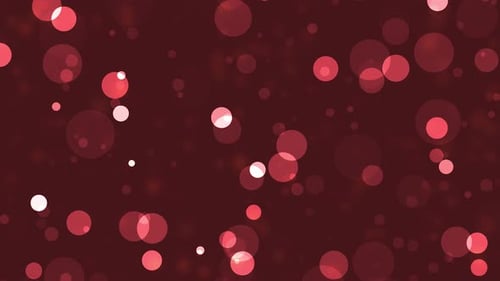 Red Moving Appearing Circles Animation Background
