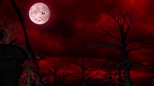Spooky Halloween Night Loop with Red Sky and Flying Bats