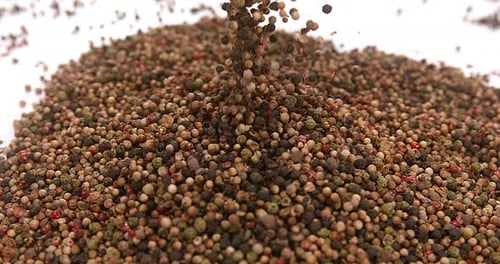 Mixed Peppercorns Falling on White Background