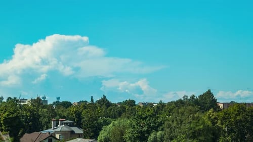 Zeitraffer wunderschöner weißer, sich schnell bewegender, geschwollener Cumuluswolken über den grünen Bäumen und der Skyline der Stadt
