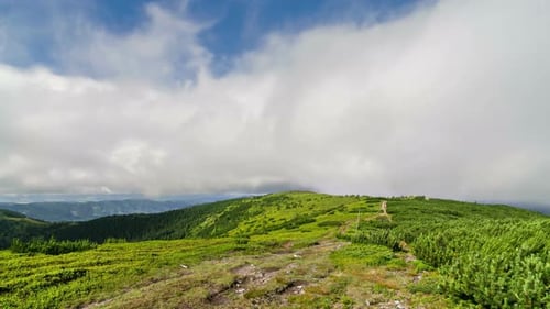Clouds Motion over Green Carpathian Mountains Ridge in Sunny Summer Nature