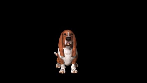 3D Animated Basset Hound Dog Character with Head Movements