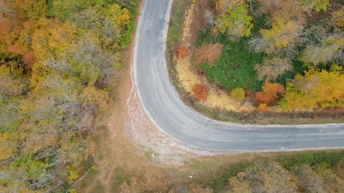 Aerial View of Winding Road in Autumn Forest