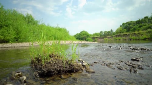 Sauberer Fluss in der Natur.