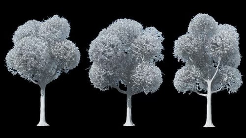 Abstract white trees