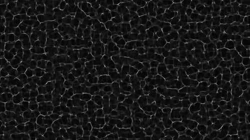 Animation of white waves on a black background. Fractal moving waves