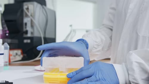 Scientist examining frozen samples takes out of deep freezing in a lab