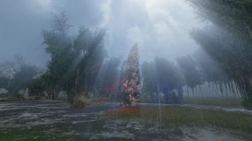 Panorama of the wilderness when it rains