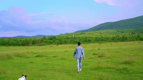 Person Walking Dog Through Grassy Field