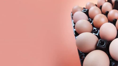Eier im Behälter