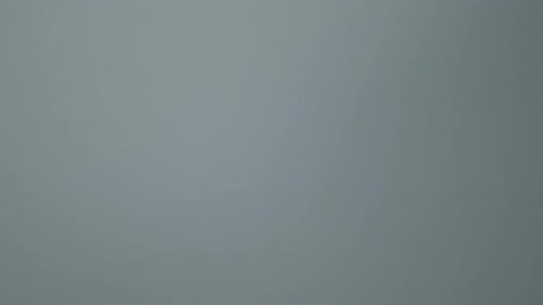 Close-Up of Two Hands Doing a Fist Bump