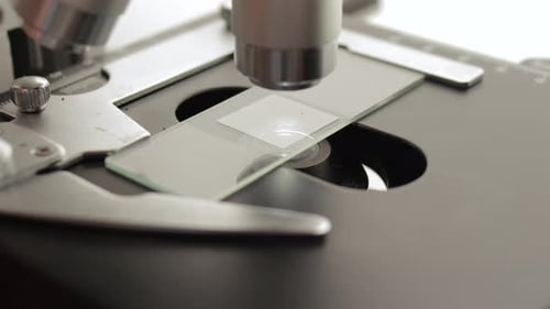 Close Up of Microscope Analyzing Slide