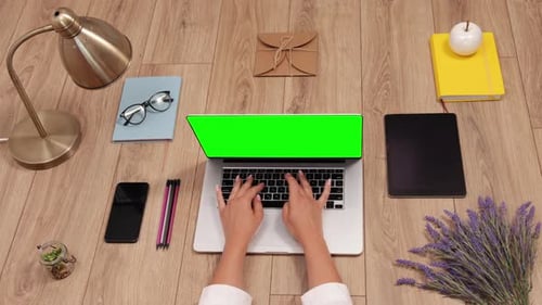 Lilac Flowers Bouquet Workspace with Girl's Hands Wildflowers Bouquet Woman
