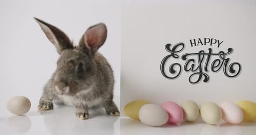 Ein kleines Kaninchen schaut in die Kamera Frohe Ostern Inschrift mit vielen Eiern
