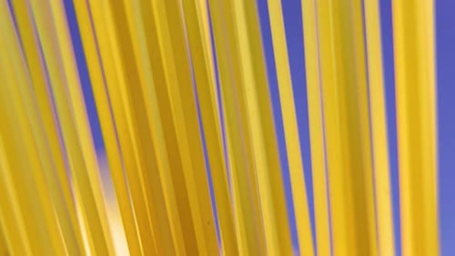 Close Up Background of Spaghetti Pasta