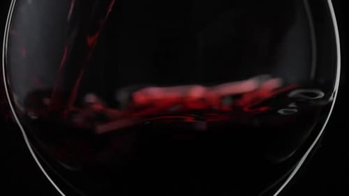 Rose Wine. Red Wine Pour in Wine Glass Over Black Background. Slow Motion