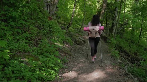 Young Woman is Hiking with Backpack and Sticks for Walking in Forest