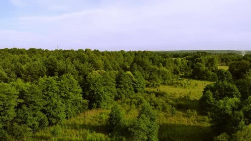 Meadows and Forests in the light of the setting Sun