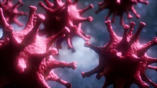Loop Rotation of Coronavirus COVID2019