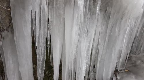 Long Icicles on a mossy stone formation