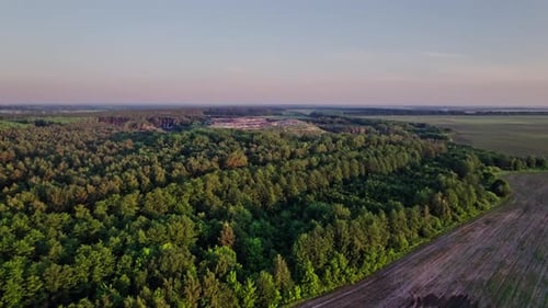 Pile d'ordures dans une décharge