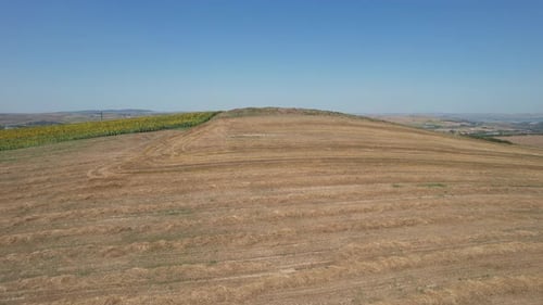 Aerial Harvested Wheat Field