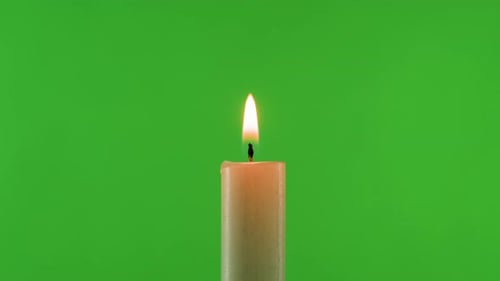 Burning Wax Candle on Green Chroma Key Background