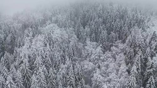 Über eine Winterlandschaft fliegen