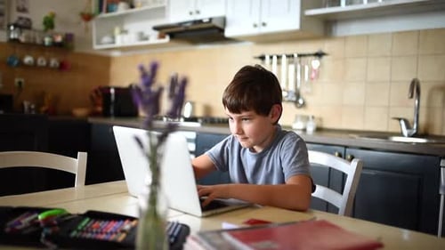 Boy Working on Laptop in the Kitchen