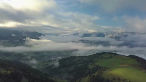 Aerial Spring Morning Above Forest