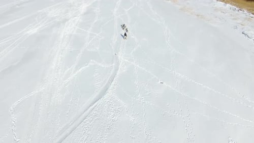 Aerial: Training sled dogs on a frozen bay in winter