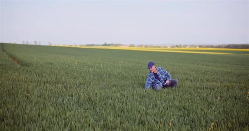 Agronomist Examining Crops And Using Digital Tablet On Field