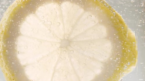 Lemon Slice in Fizzy Water