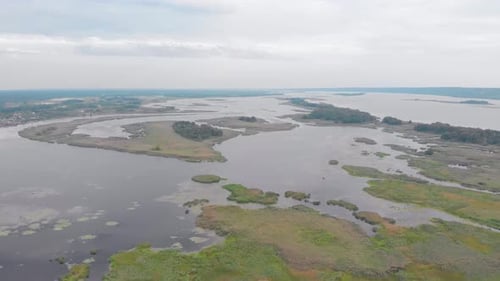 Aerial River Swamp