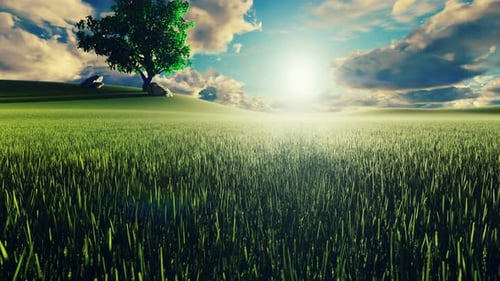 Peaceful Green Meadow Landscape with Tree and Moving Clouds