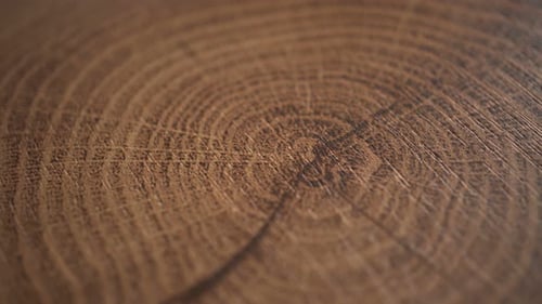 Close Up of Brown Wooden Grain Surface Texture