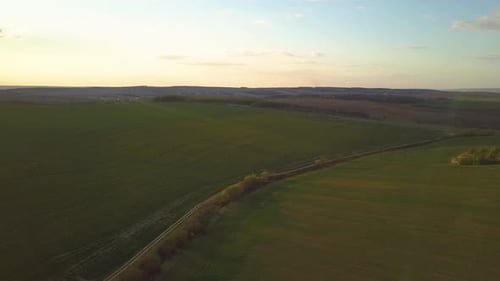 Aerial view of bright green agricultural farm field with growing rapeseed plants and cross country